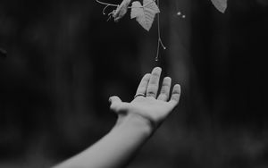 Preview wallpaper hand, plant, bw, leaves, drops, vine