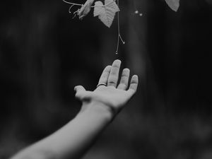 Preview wallpaper hand, plant, bw, leaves, drops, vine