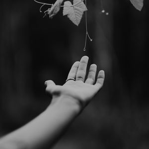 Preview wallpaper hand, plant, bw, leaves, drops, vine