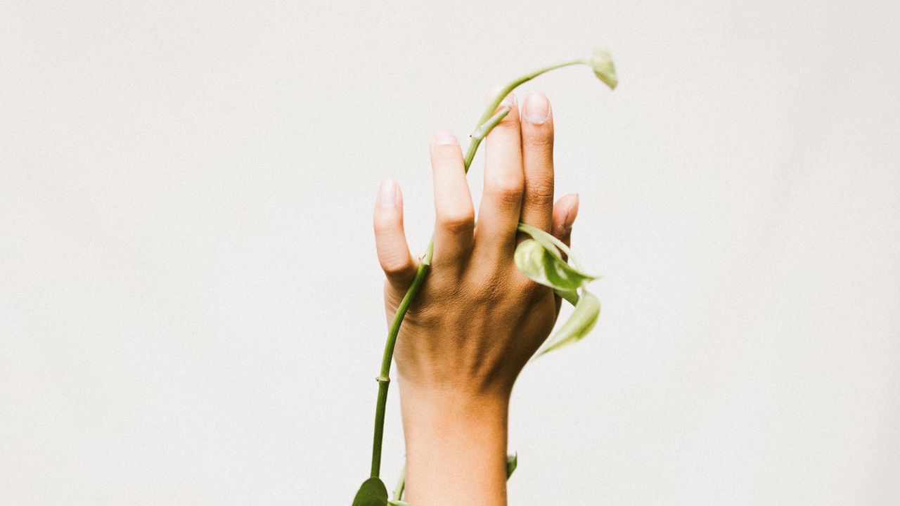 Wallpaper hand, plant, liana, green
