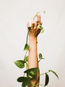 Preview wallpaper hand, plant, liana, green