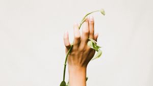 Preview wallpaper hand, plant, liana, green