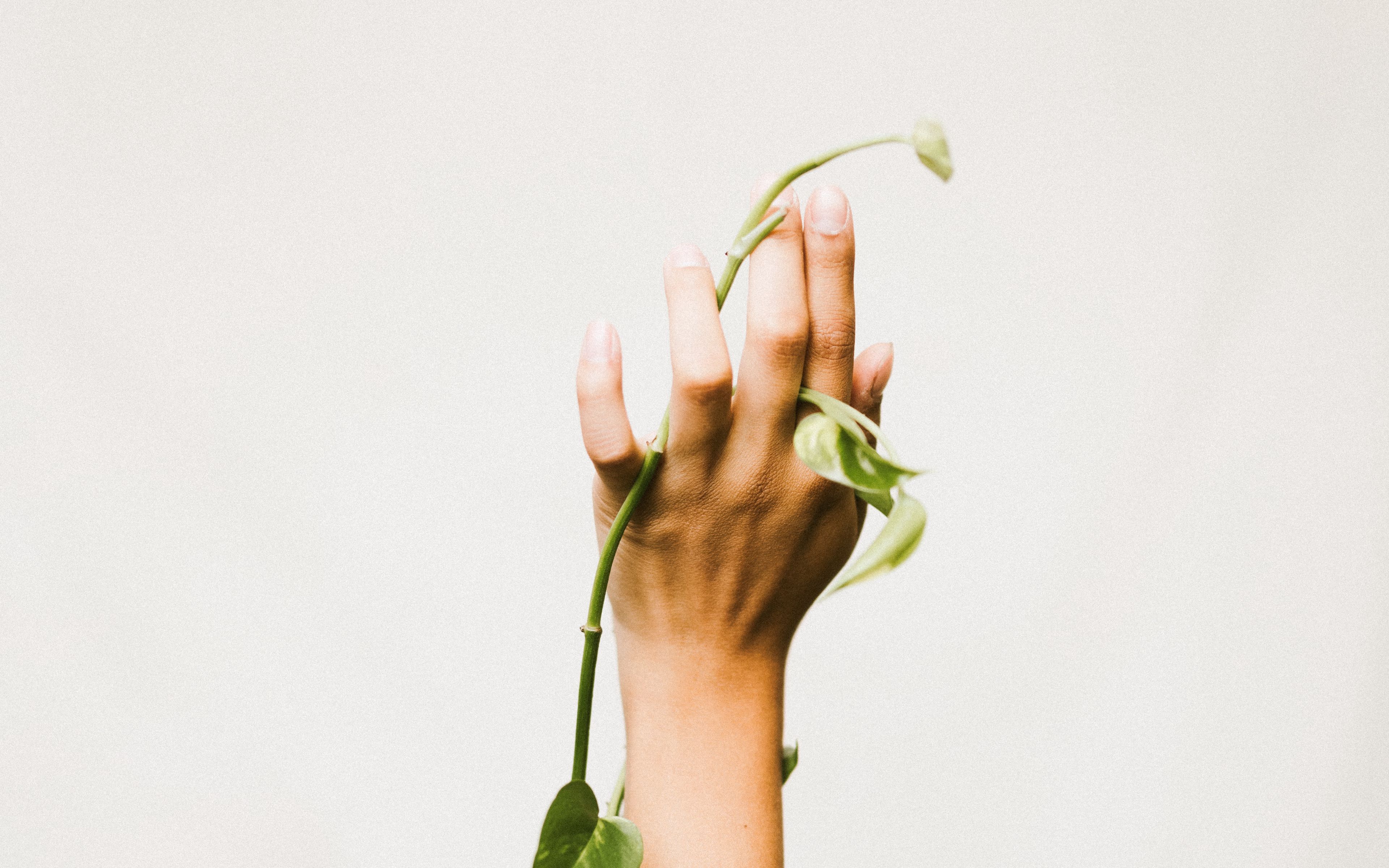 Видеть рукой цвет. Цветок на руку.. Цветы в ладонях. Растение в руках. Руки на фоне цветов.