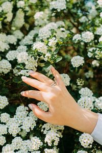 Preview wallpaper hand, ring, flowers, bloom