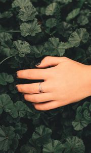 Preview wallpaper hand, ring, leaves