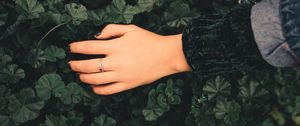 Preview wallpaper hand, ring, leaves