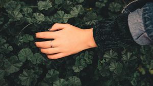 Preview wallpaper hand, ring, leaves