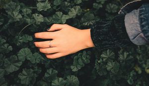 Preview wallpaper hand, ring, leaves