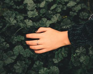 Preview wallpaper hand, ring, leaves