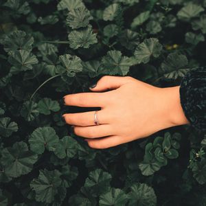 Preview wallpaper hand, ring, leaves