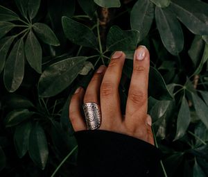 Preview wallpaper hand, ring, leaves