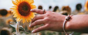 Preview wallpaper hand, ring, sunflower, flower