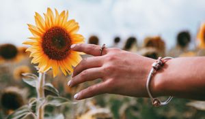 Preview wallpaper hand, ring, sunflower, flower