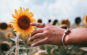 Preview wallpaper hand, ring, sunflower, flower