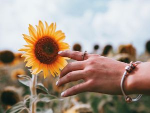 Preview wallpaper hand, ring, sunflower, flower