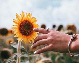 Preview wallpaper hand, ring, sunflower, flower