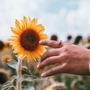 Preview wallpaper hand, ring, sunflower, flower