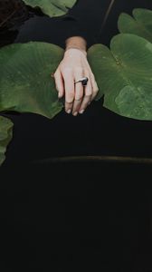 Preview wallpaper hand, ring, water lilies, leaves, water
