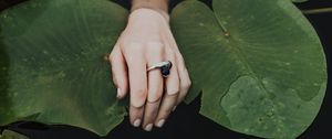 Preview wallpaper hand, ring, water lilies, leaves, water