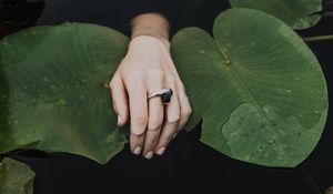 Preview wallpaper hand, ring, water lilies, leaves, water