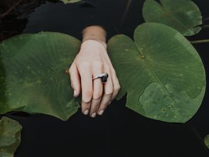 Preview wallpaper hand, ring, water lilies, leaves, water