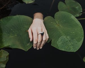 Preview wallpaper hand, ring, water lilies, leaves, water