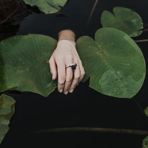 Preview wallpaper hand, ring, water lilies, leaves, water