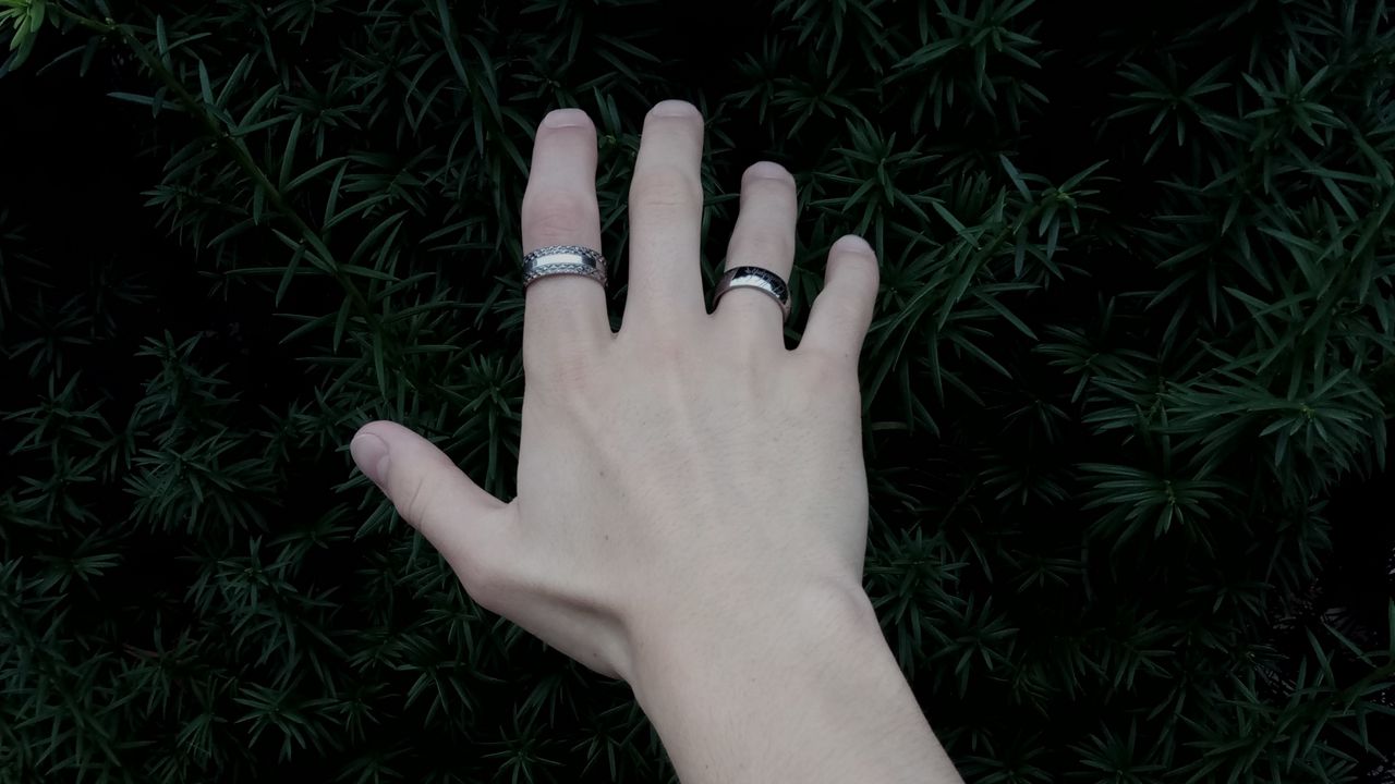 Wallpaper hand, rings, plant hd, picture, image