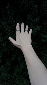 Preview wallpaper hand, rings, plant