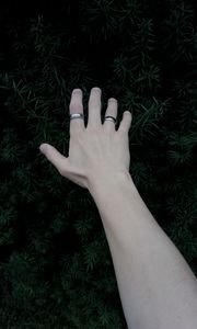 Preview wallpaper hand, rings, plant