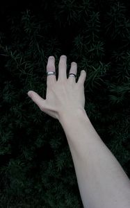 Preview wallpaper hand, rings, plant