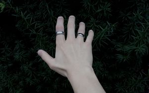 Preview wallpaper hand, rings, plant