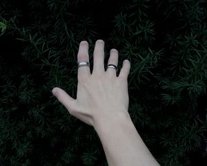 Preview wallpaper hand, rings, plant