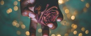 Preview wallpaper hand, rose, glare, shine