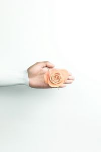 Preview wallpaper hand, rose, minimalism, flower, wall