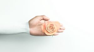 Preview wallpaper hand, rose, minimalism, flower, wall