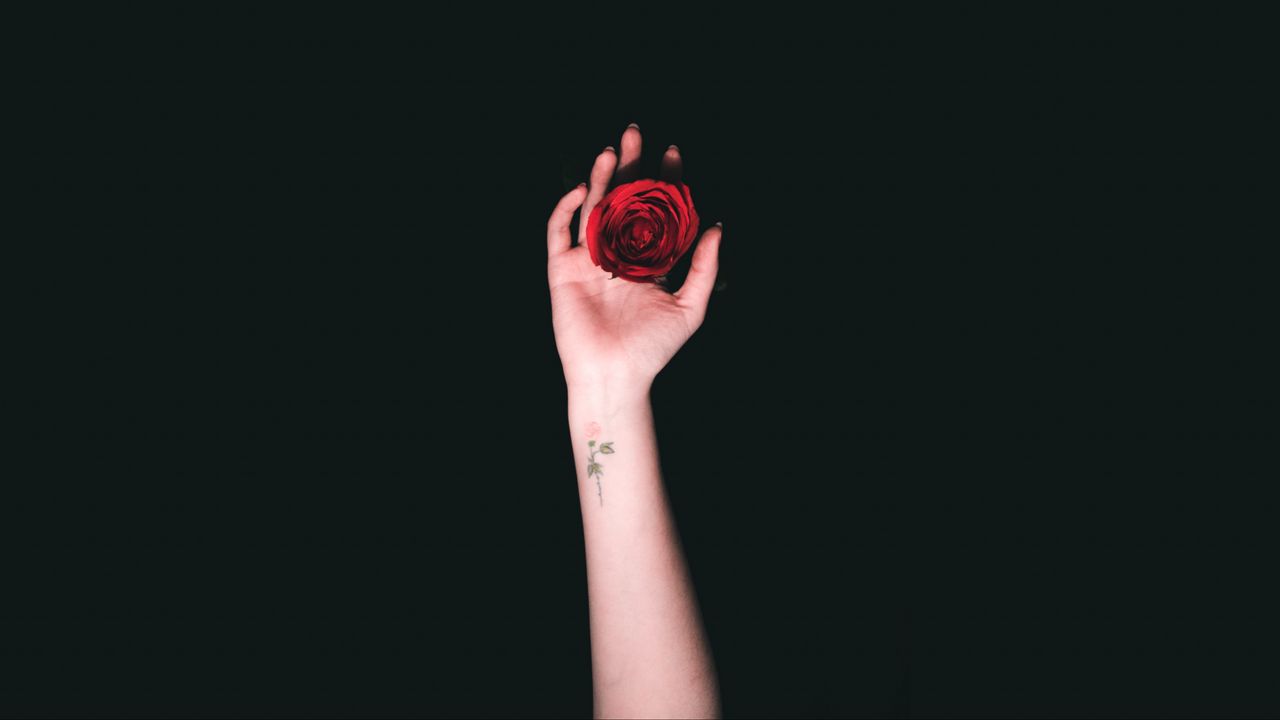Wallpaper hand, roses, tattoo, minimalism