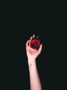 Preview wallpaper hand, roses, tattoo, minimalism
