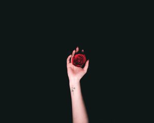 Preview wallpaper hand, roses, tattoo, minimalism