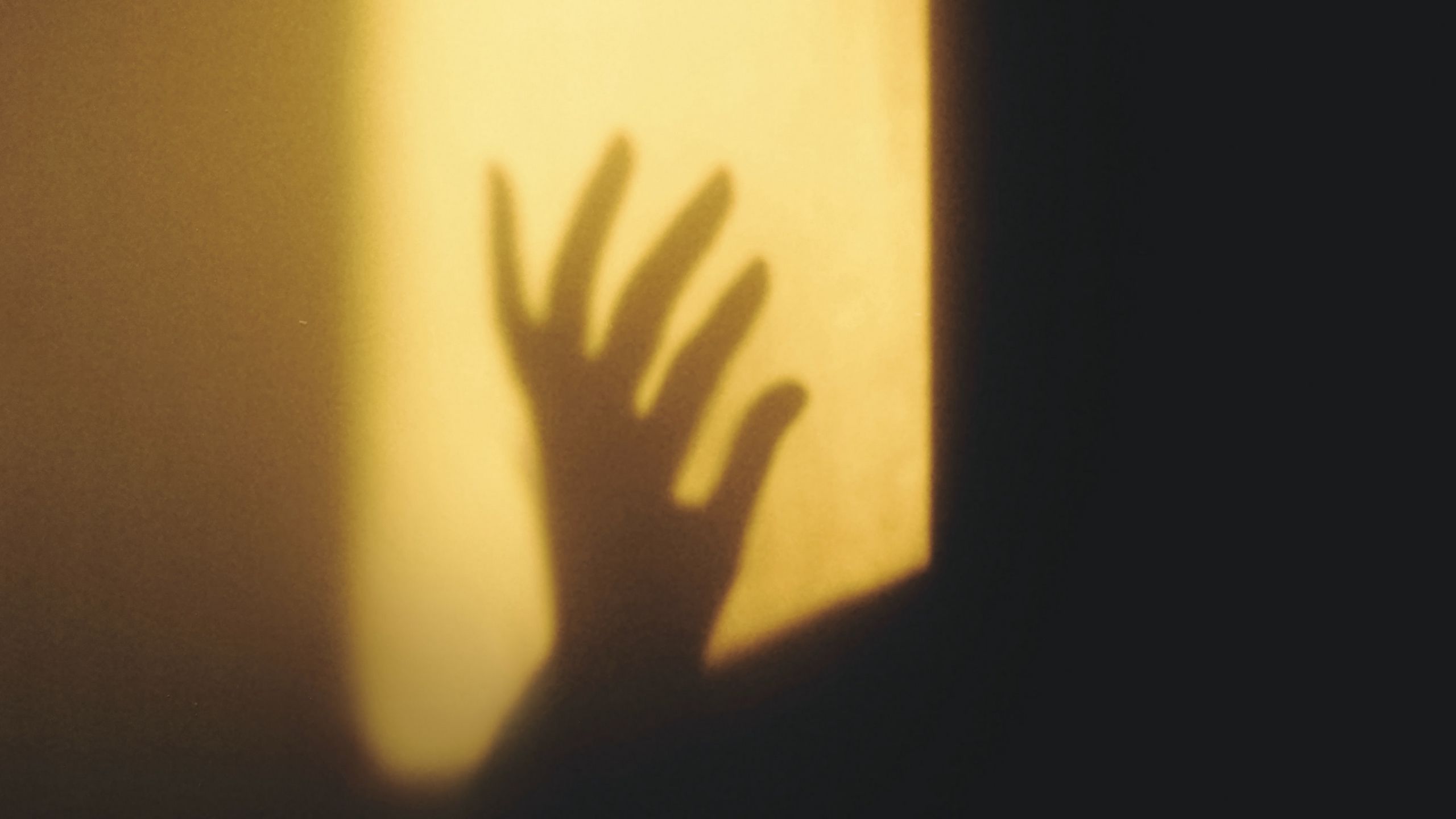 Download wallpaper 2560x1440 hand, shadow, wall, fingers, silhouette