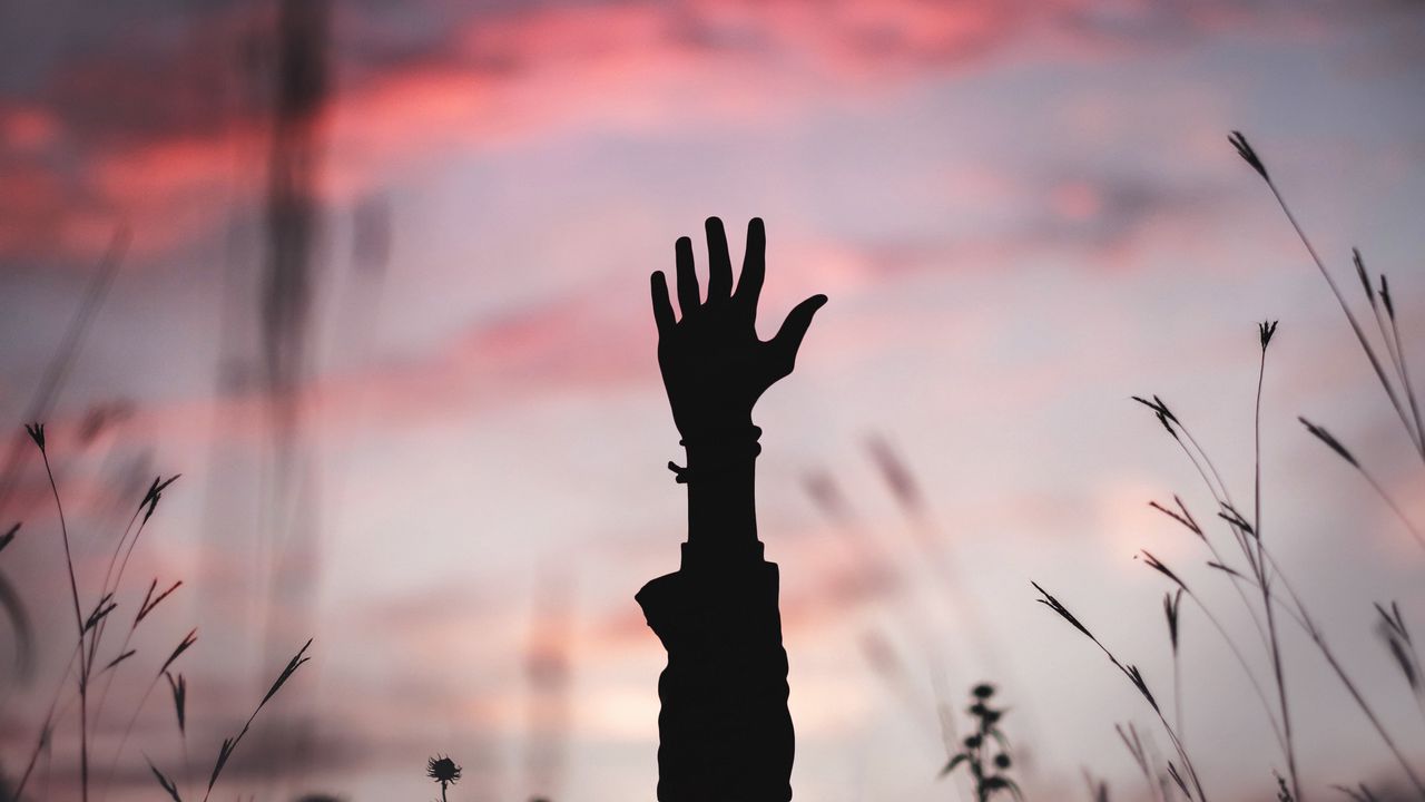 Wallpaper hand, silhouette, sunset