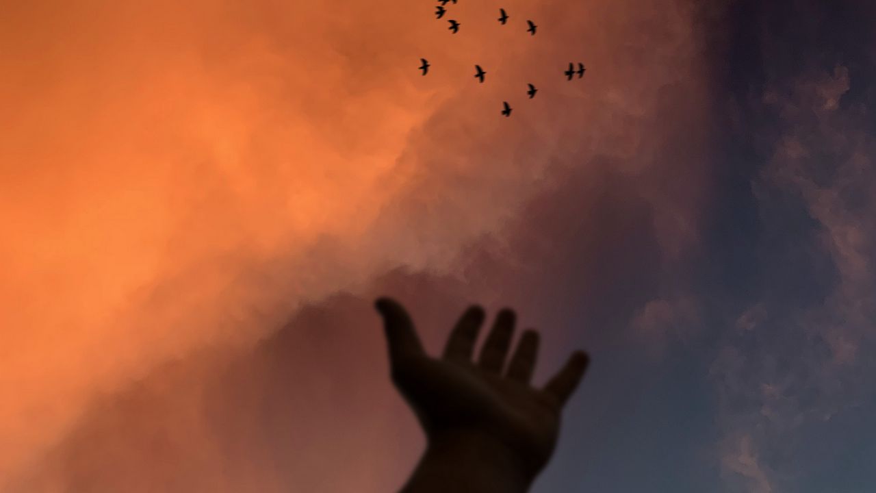 Wallpaper hand, sky, birds, clouds, twilight