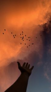 Preview wallpaper hand, sky, birds, clouds, twilight