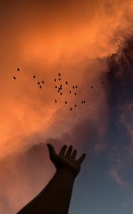 Preview wallpaper hand, sky, birds, clouds, twilight