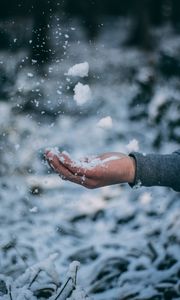 Preview wallpaper hand, snow, palm, winter