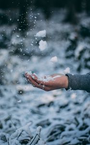 Preview wallpaper hand, snow, palm, winter