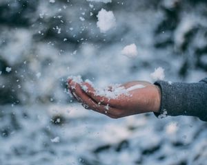 Preview wallpaper hand, snow, palm, winter