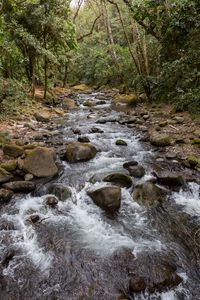 Preview wallpaper hand, stream, stones, forest