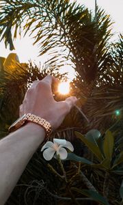 Preview wallpaper hand, sun, branches, leaves