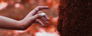 Preview wallpaper hand, tree, moss, touch